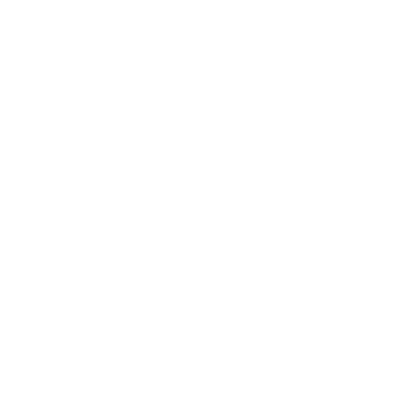 PPD Logo